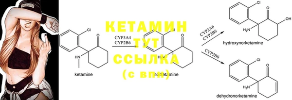 кокаин Белокуриха
